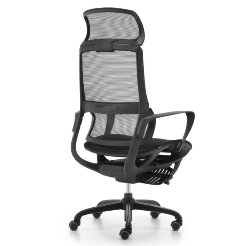 Ghế ERD265-4 - ảnh 2