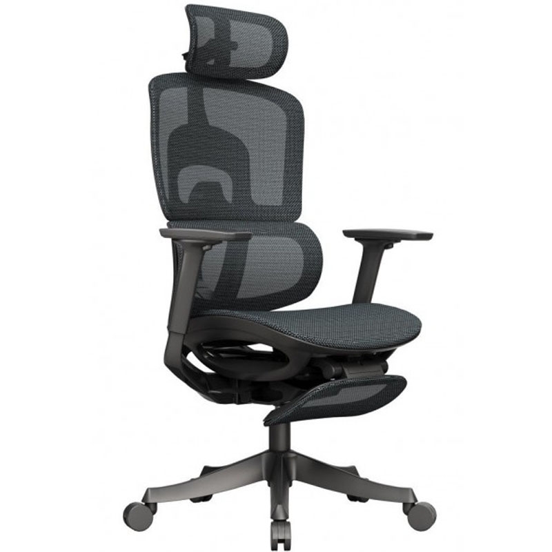 Ghế ERP829 - ảnh 1