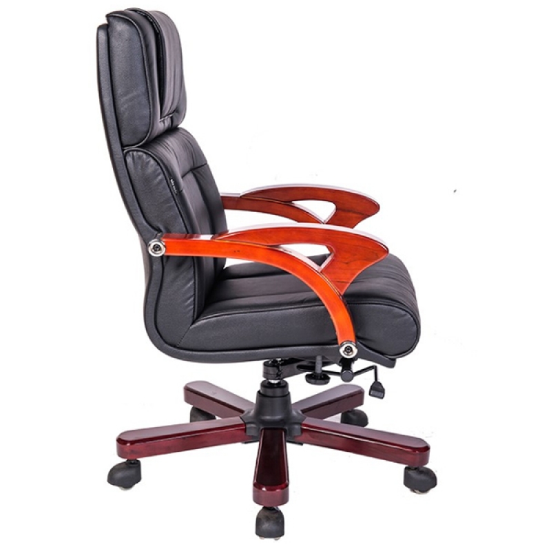 Ghế giám đốc TQ10 - ảnh 2