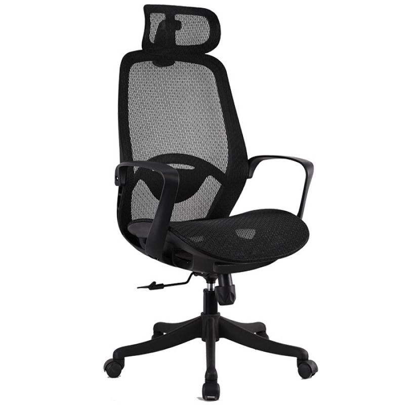 Ghế lưới hiện đại A-2501 - ảnh 1