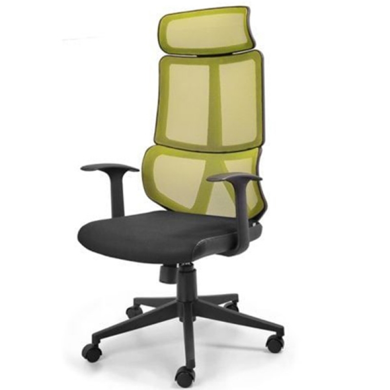 Ghế xoay GX251B lưng lưới - ảnh 1