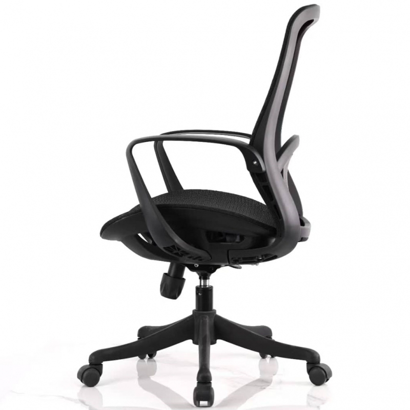 Ghế B2501 - ảnh 2