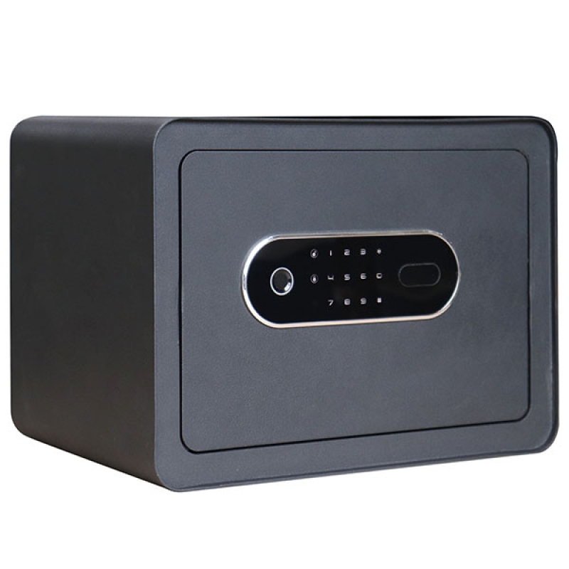 Két sắt KKS06 vân tay - ảnh 1
