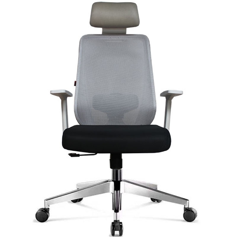 Ghế lưới có tựa đầu D145A - ảnh 1
