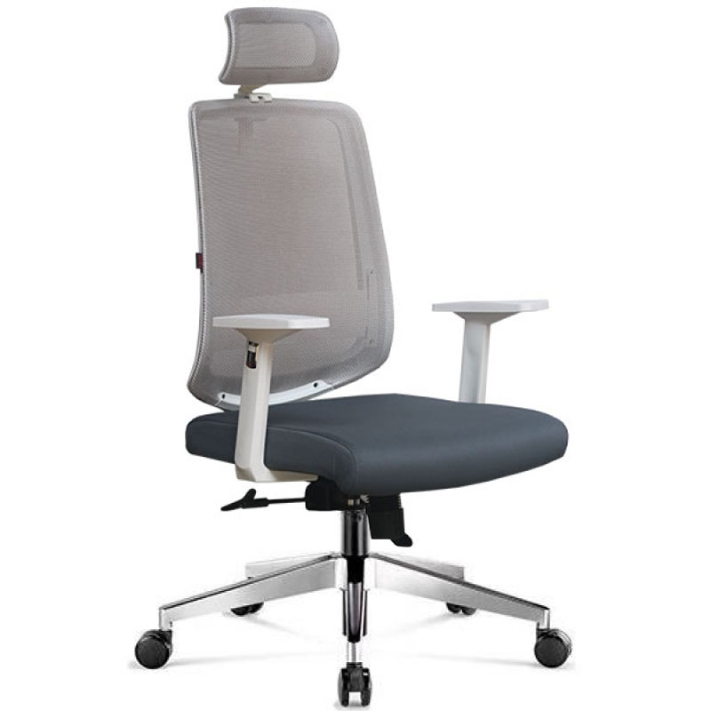 Ghế lưới văn phòng D146A - ảnh 1