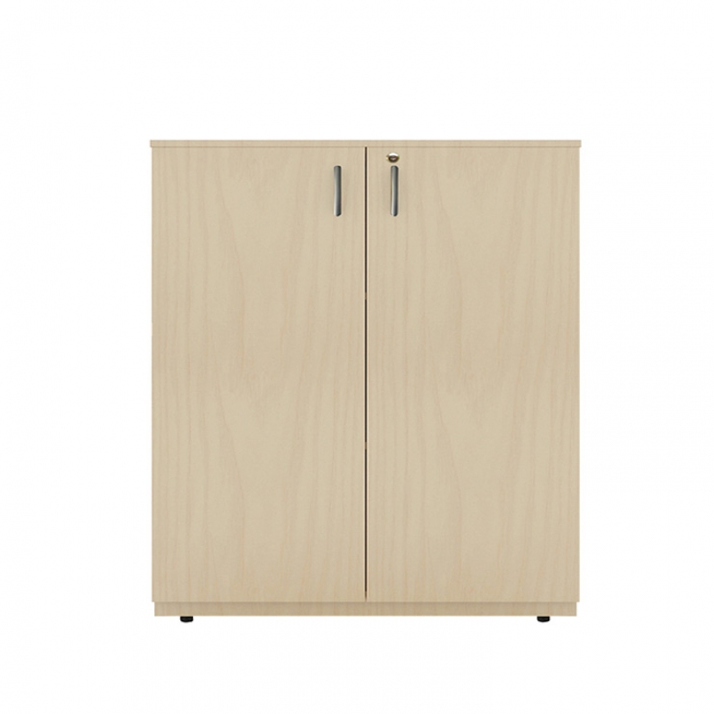 Tủ ARC800-2C - ảnh 1