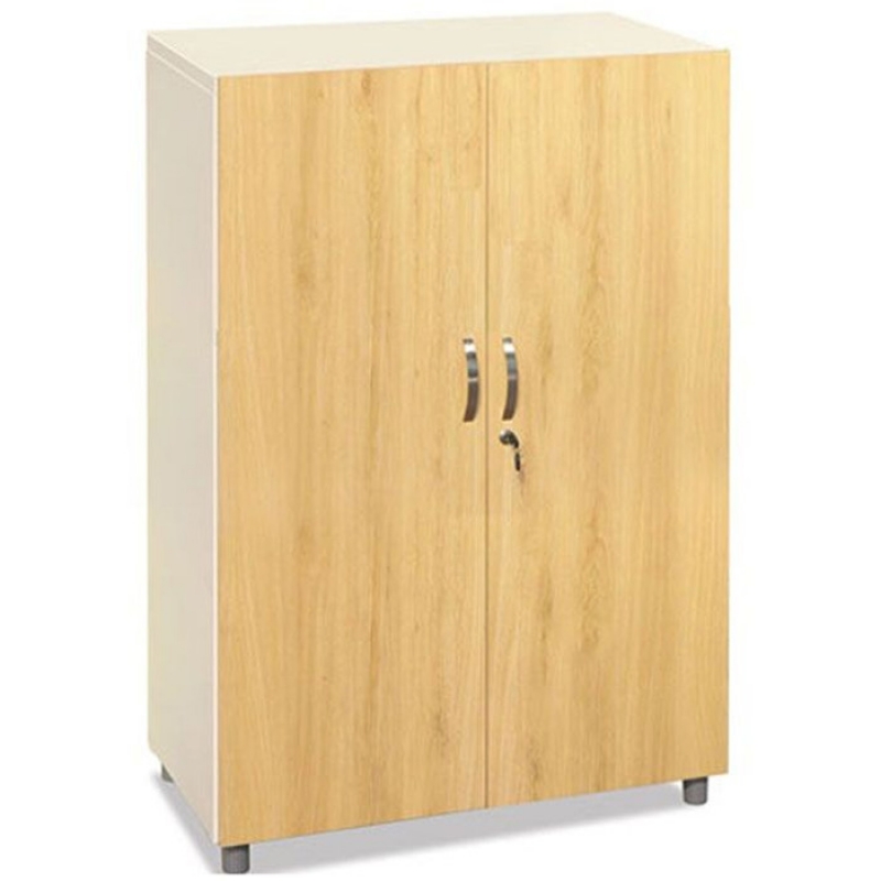 Tủ hiện đại TSG03-2 - ảnh 1