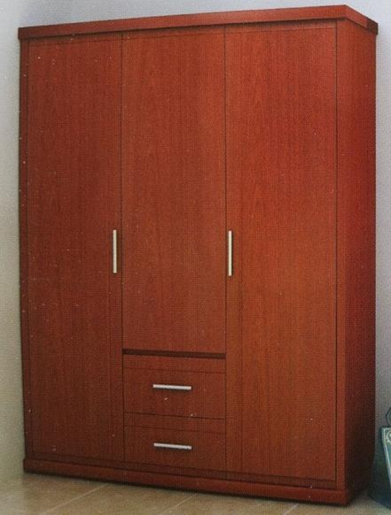 Tủ áo TA3B2N - ảnh 1