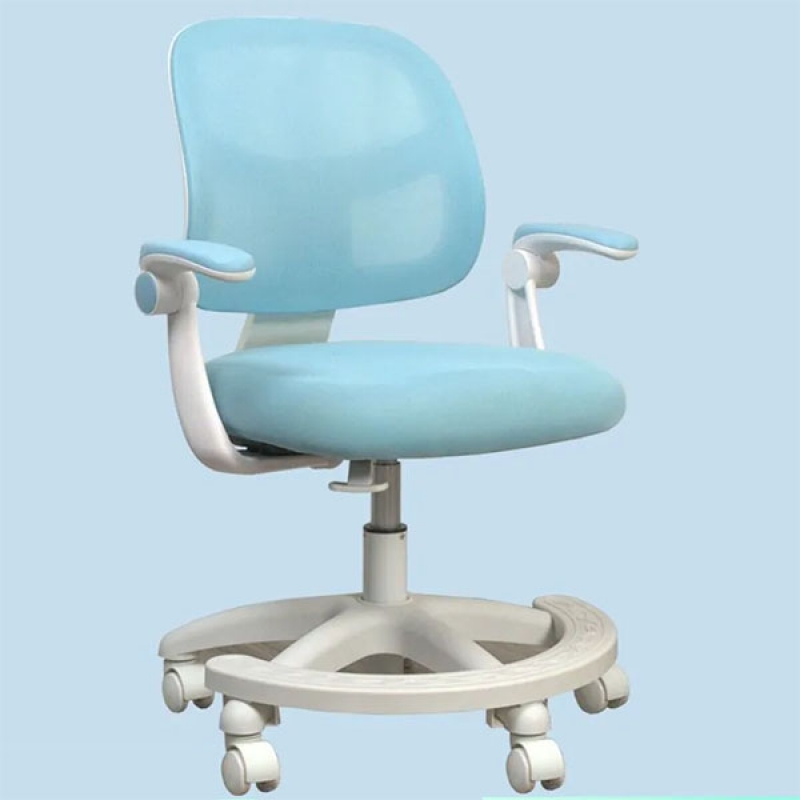 Ghế học sinh chống gù chống cận DRY-810 - ảnh 1