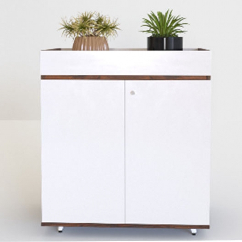 Tủ thấp LUX1000-2T2 - ảnh 1