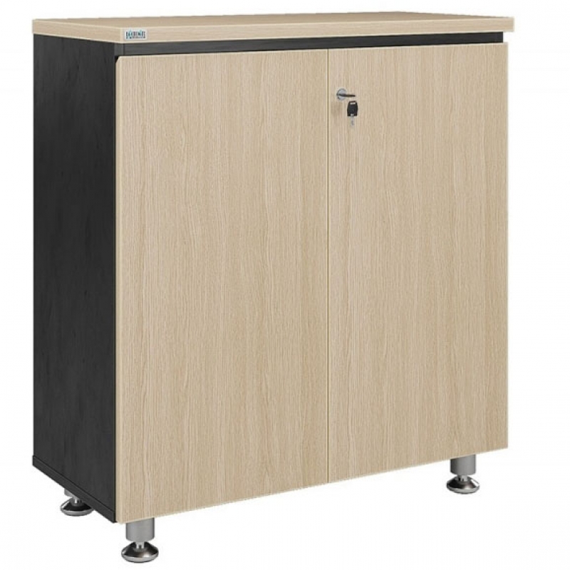 Tủ tài liệu Leader LE880D - ảnh 1